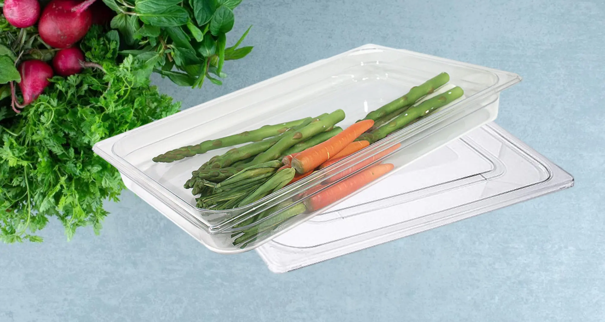 GastroNorm Polycarbonat