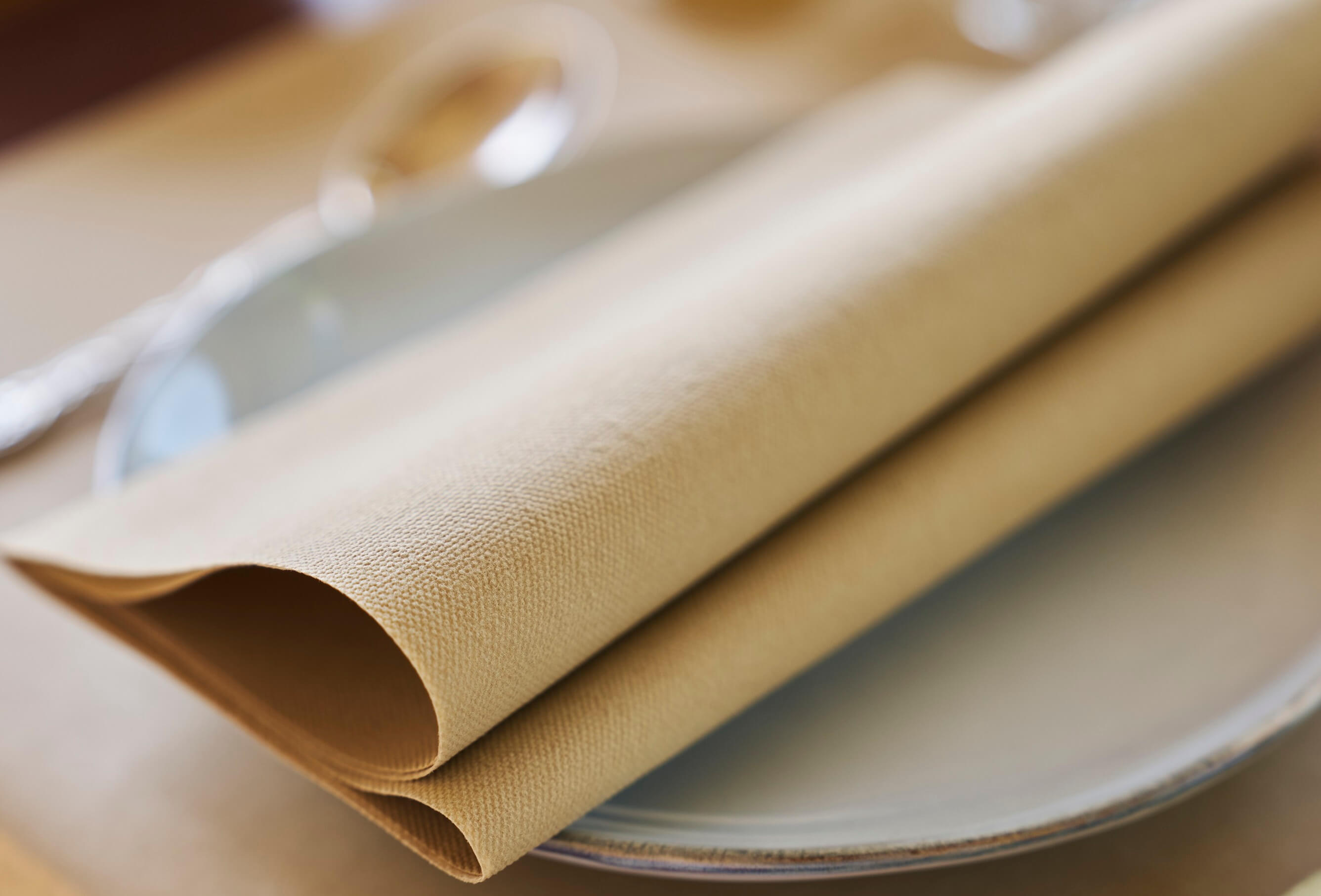 BIO Dunisoftserviette 40 x 40 cm