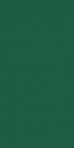 Duni, Zelltuchservietten, 40 x 40 cm, 3-lagig 1/8 Buchfalz, jägergrün