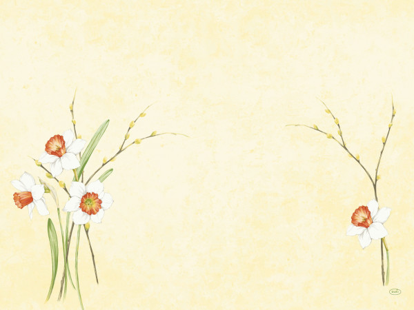 Duni, Dunicel-Tischset - Daffodil Joy, 30 x 40 cm