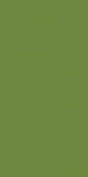 Duni, Zelltuchservietten, 33 x 33 cm, 3-lagig 1/8 Buchfalz, leaf green