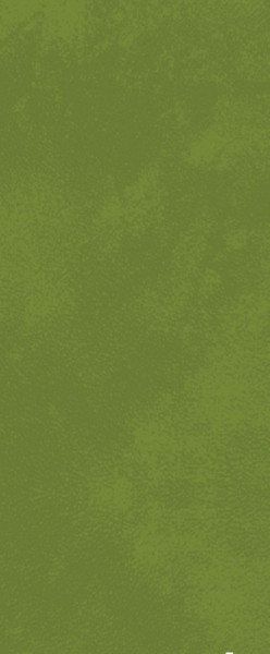Duni, Duniletto-Serviettentasche, leaf green, 480 x 400 mm