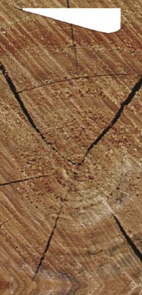 Duni, Sacchetto Zelltuch-Serviettentasche, Wood, 190 x 85 mm